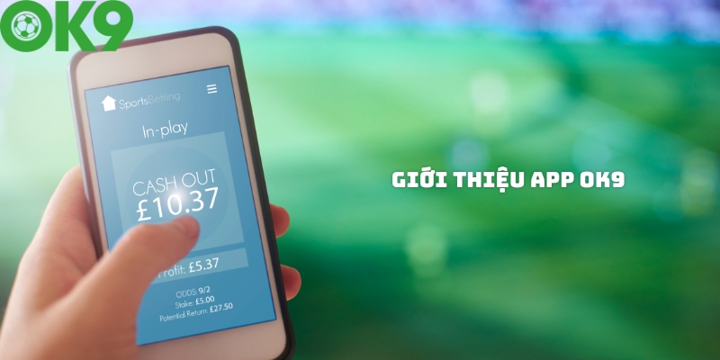 Giới thiệu chung về ứng dụng cá cược OK9 Giới thiệu chung về ứng dụng cá cược OK9